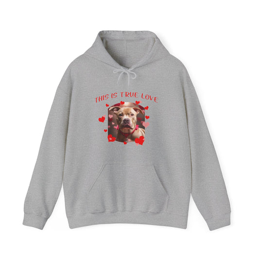Valentines PIT BULL Terrier true love hoodie hearts